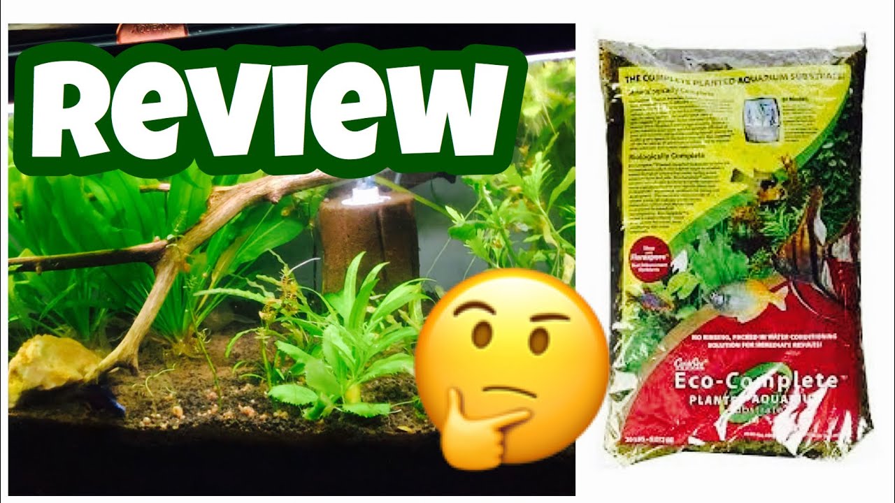 Eco Complete Review - Planted Tank Substrate