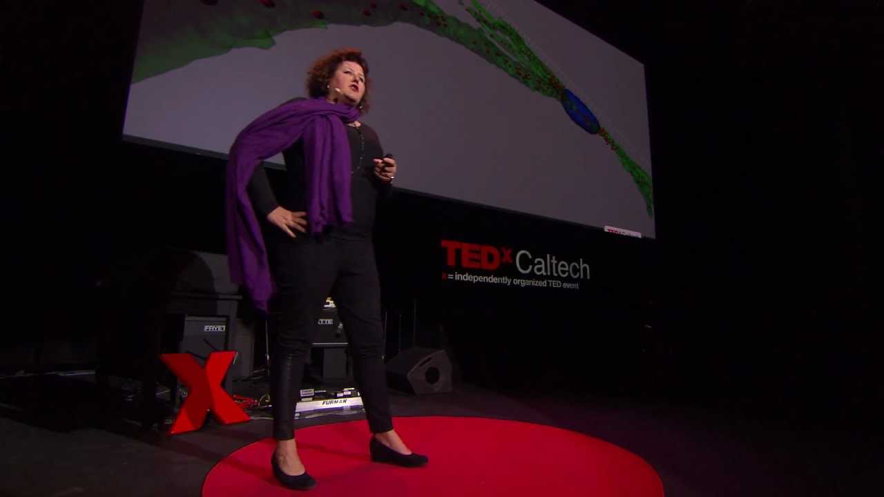The Remarkable Neuron: Erin Schuman at TEDxCaltech