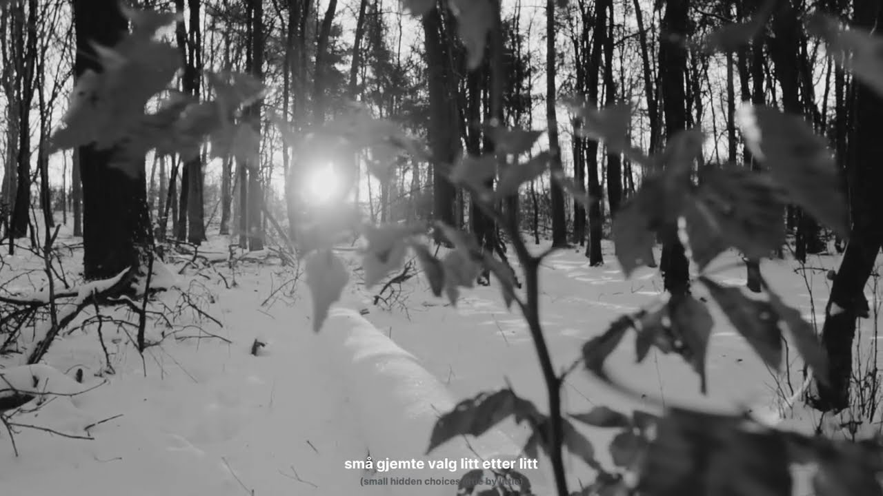Om Igjen (lyric video + english translation) - Judah Earl & Hannah Yoo