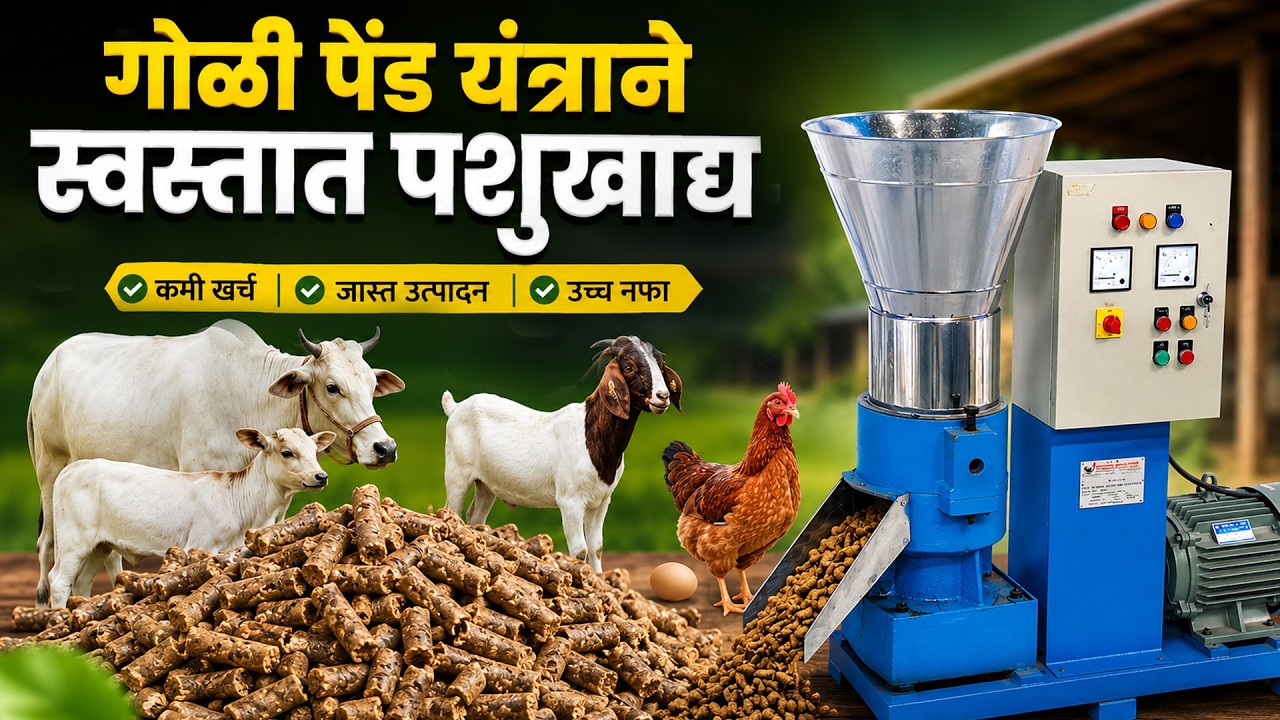 गोळी पेंड यंत्राने स्वस्तात बनवा पशुखाद्य | Goli Pend Yantra | डॉ. प्रमोद साखरे | Maze Ran Shivar