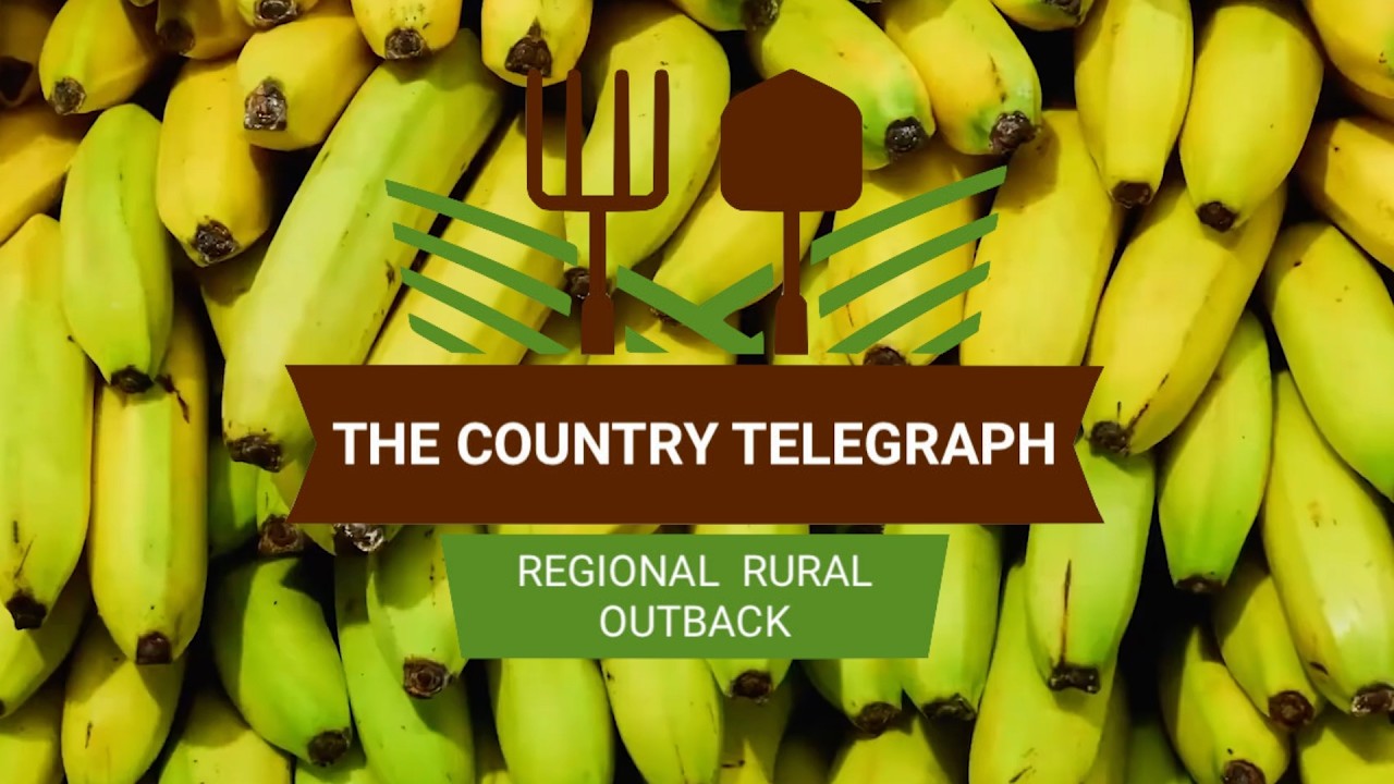 Welcome to Tolga, Qld | Regional Bank Closures Outlook & RBI Alliance on The Country Telegraph.
