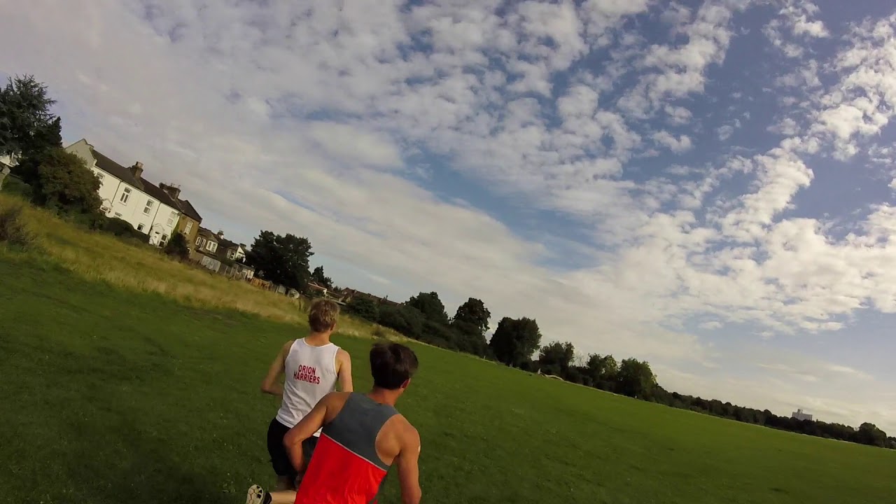 parkrun Routes: Wanstead Flats parkrun (real-time)