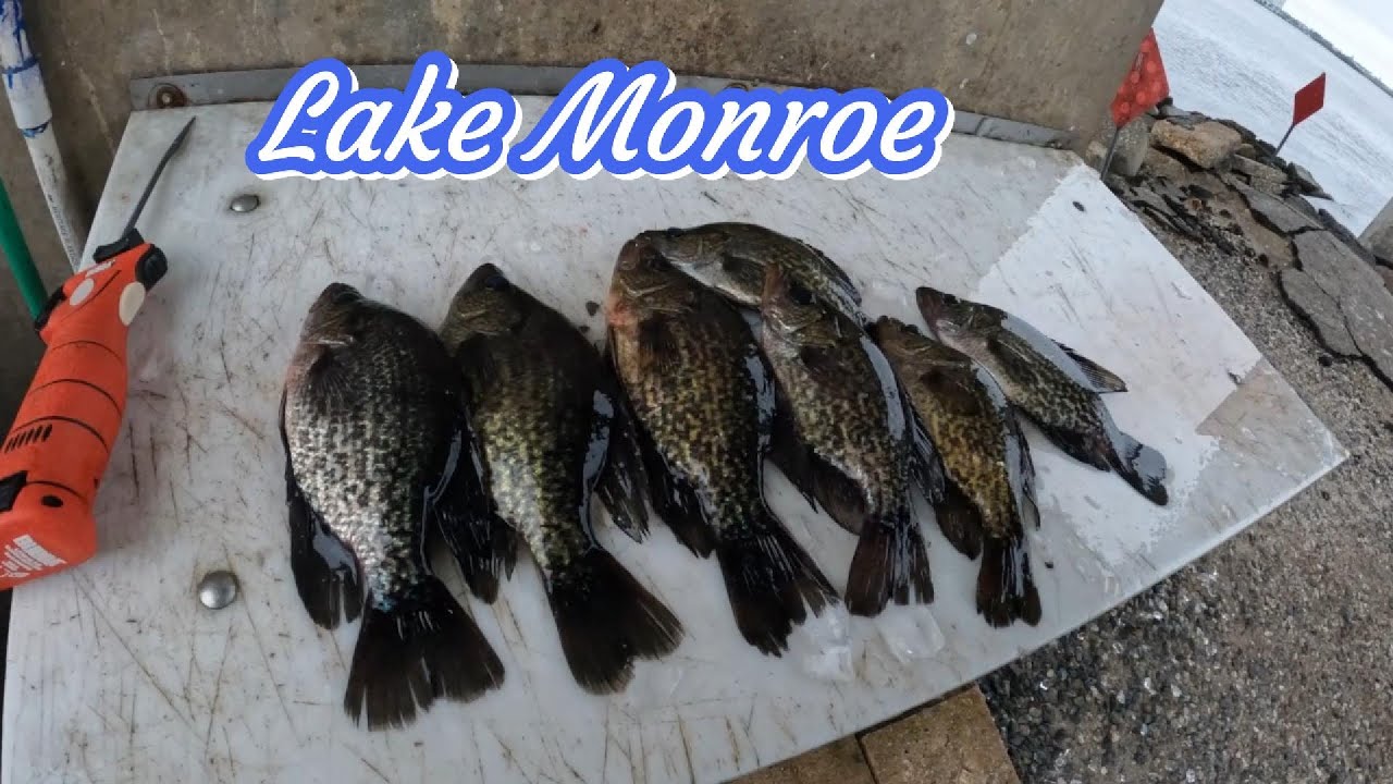 Рыбалка на окуня (краппи) на озере Монро, Флорида | Декабрь 2025 | Сэнфорд, Флорида | Специальная...