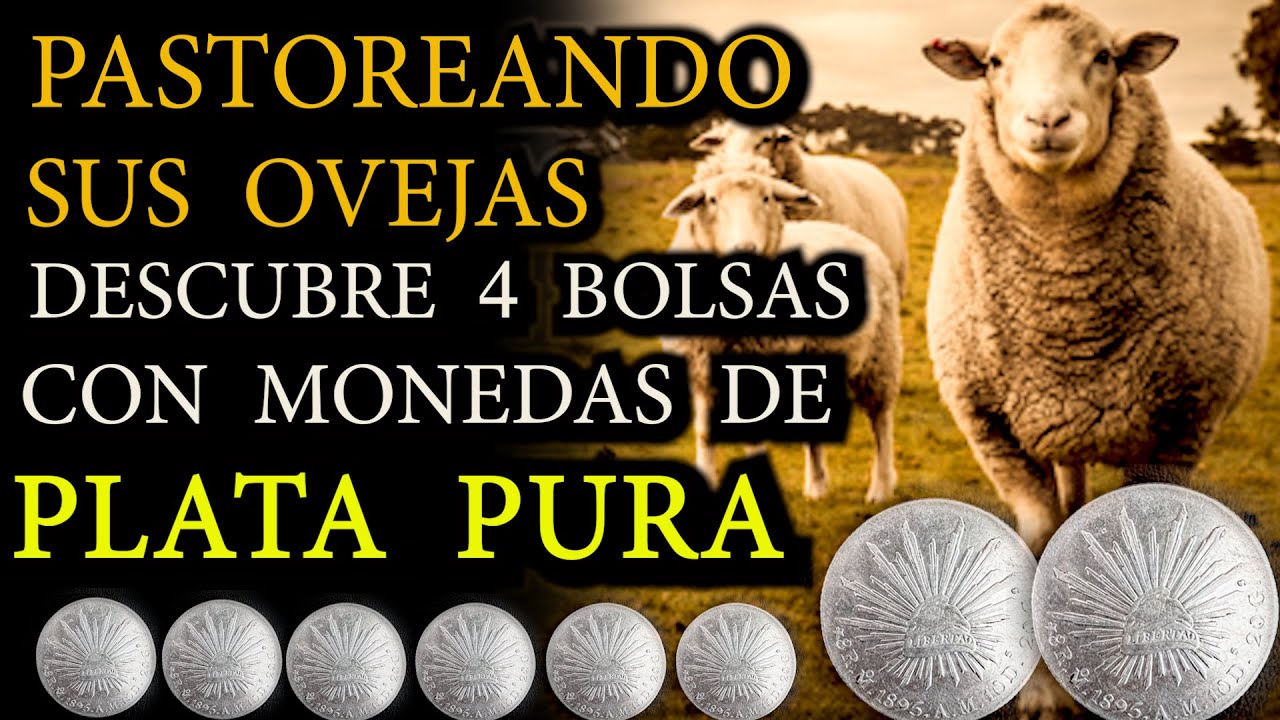 DESCUBRE 4 BOLSAS LLENAS DE MONEDAS DE PLATA AL PASTOREAR SUS OVEJAS EN CERRO DE CUATLAPANGA