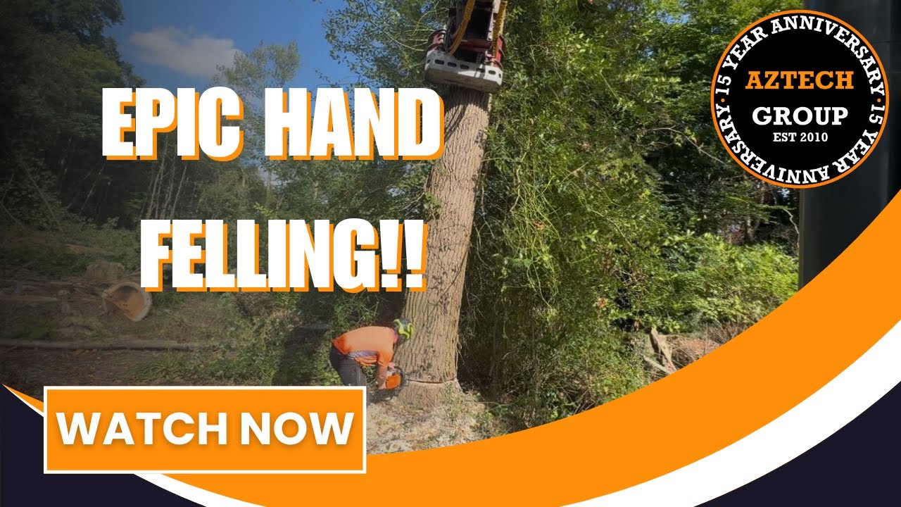Aztech Group - Ep70: Hand Felling HUGE Poplars! + Excavator Assist, Heizohack Chipping & more!!