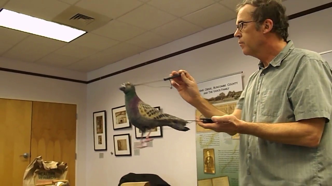 Hobey Ford  Puppeteer rod puppet demo 8