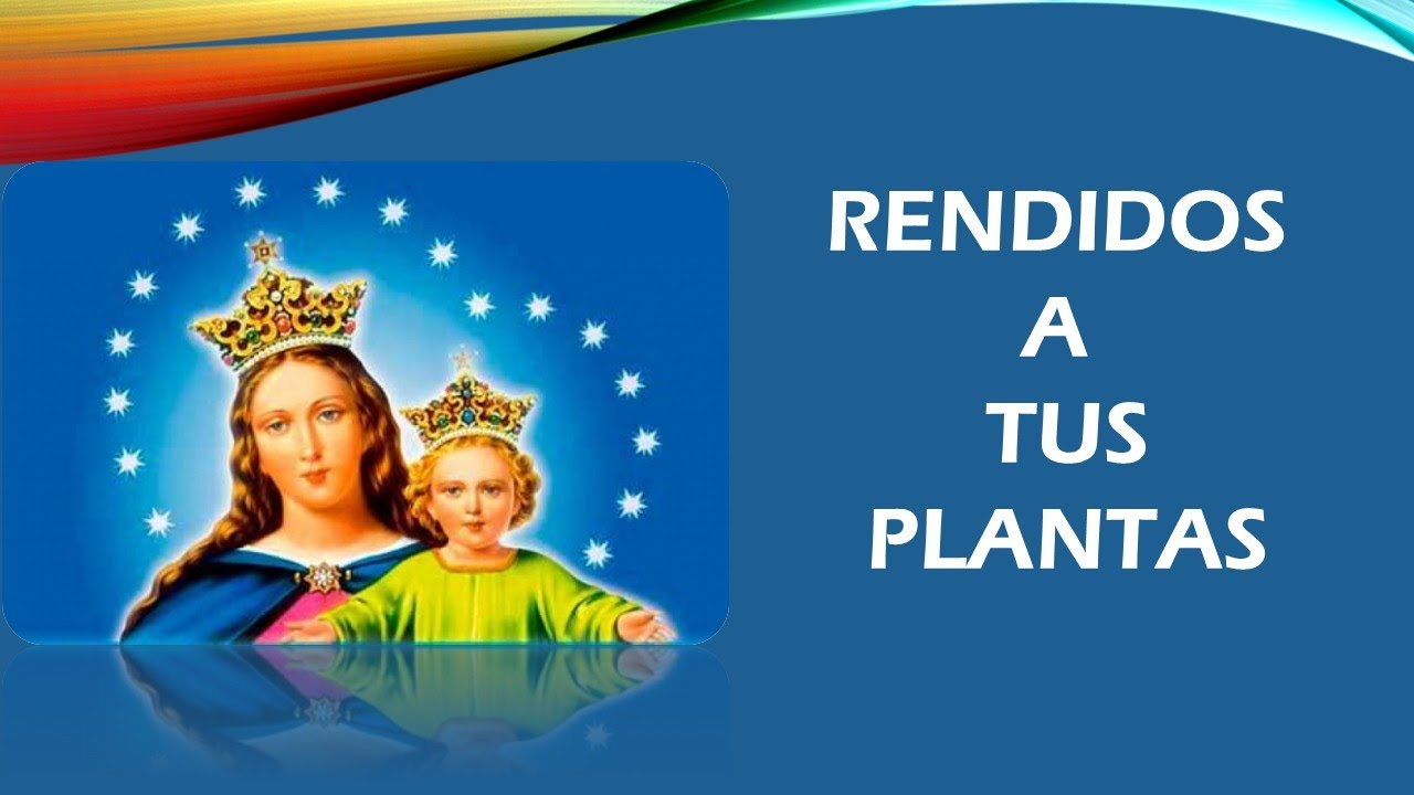 RENDIDOS A TUS PLANTAS