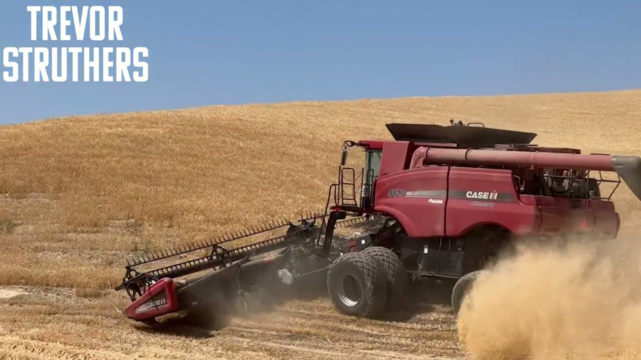Combine nearly went off the edge! - Grain Hogs S02E10