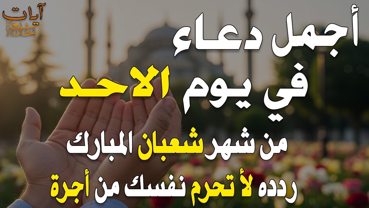 دعاء في  يوم 20 من شهر شعبان 2026 يوم رفع البلاء وقضاء الحوائج وجلب الرزق 🤲