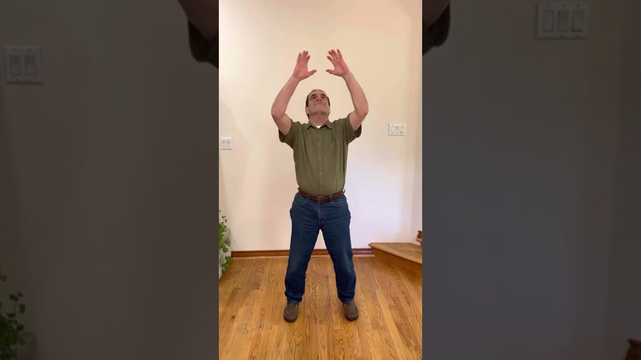Parkinson&rsquo;s Medical Qigong for the Liver