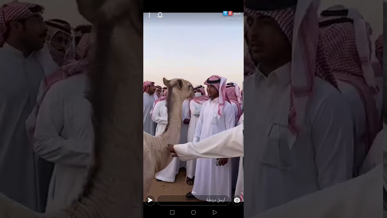 مشترى على بن زيد الشراب من مزاد حفر الباطن، حواره شقحا ب ٤٠٠ ألف #2