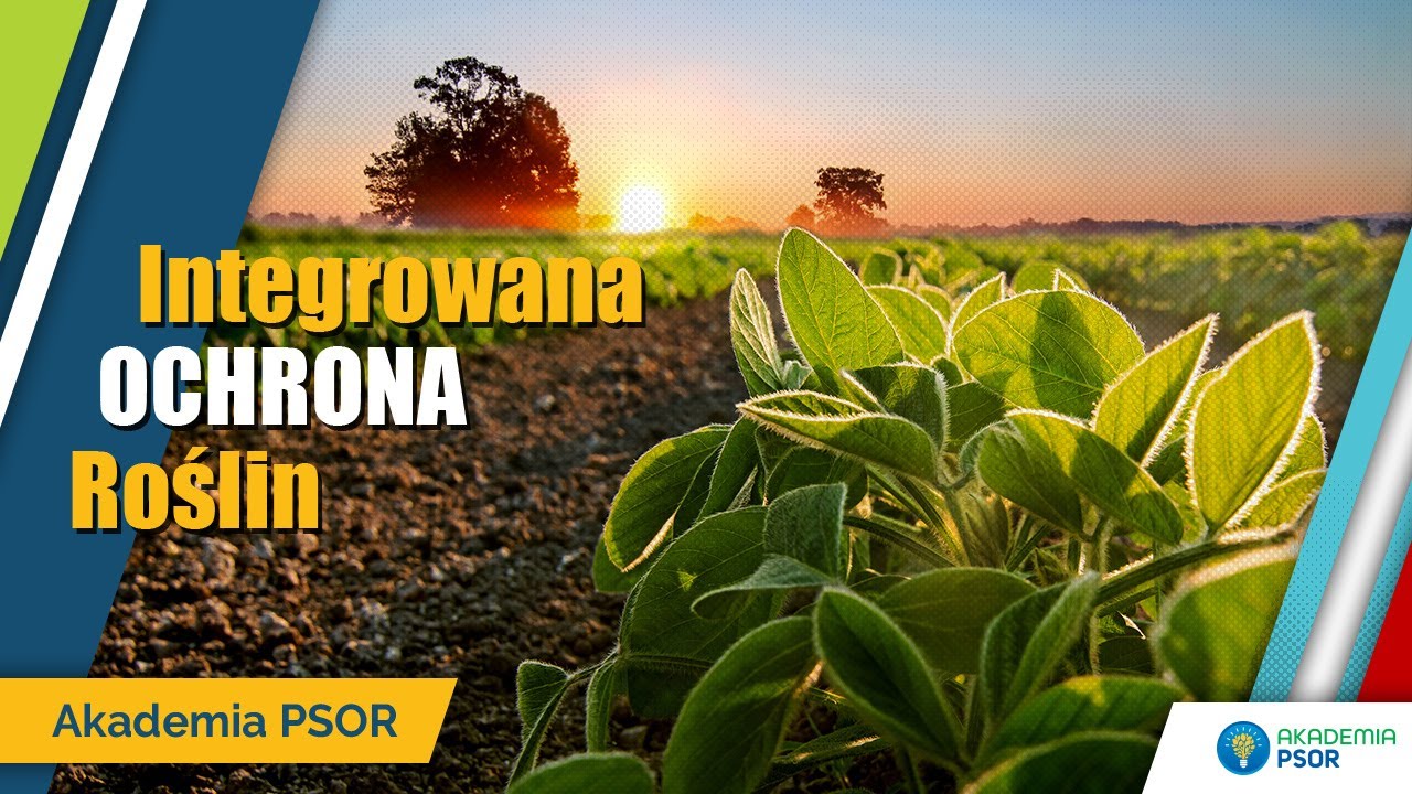 Akademia PSOR - Integrowana ochrona roślin