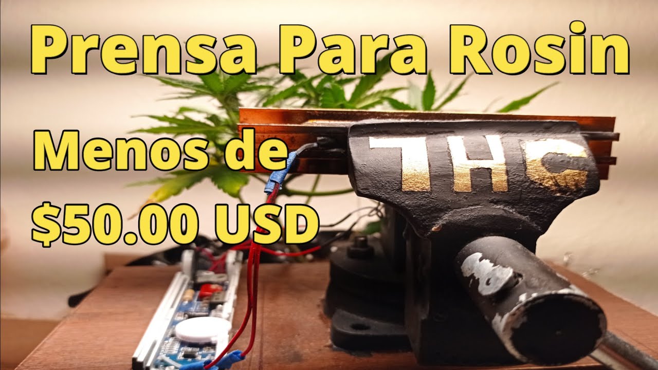 El Mejor Tutorial LHC para Rosin Casero.