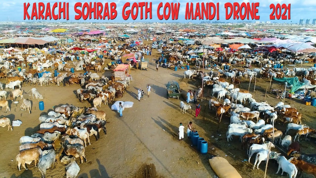 Karachi Sohrab Goth Cow Mandi Drone ! Digital Historian