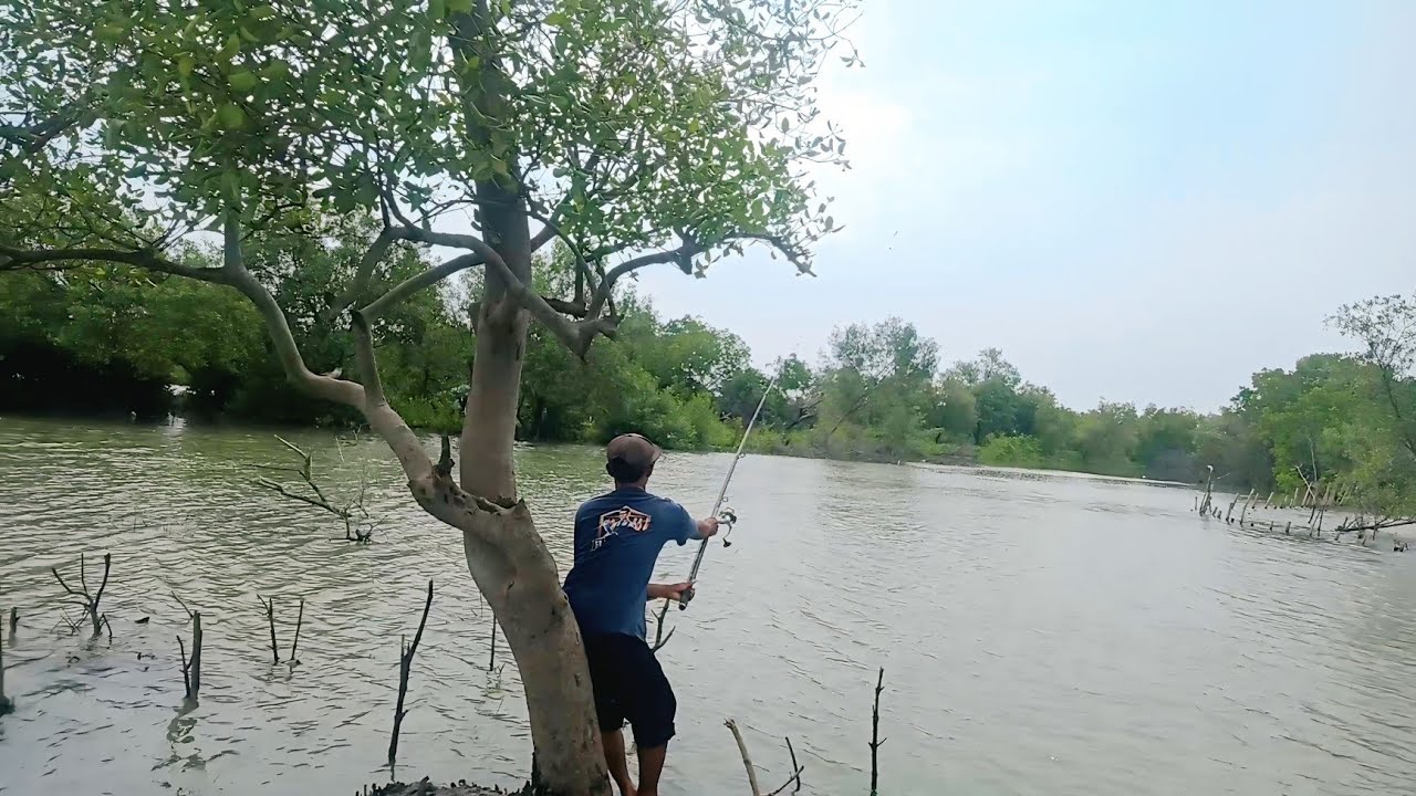 Mancing Ikan Kakap Putih di Pertigaan Sungai Cibodo – Genteng