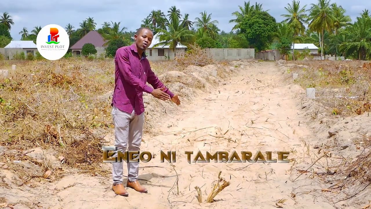 viwanja vya mjini