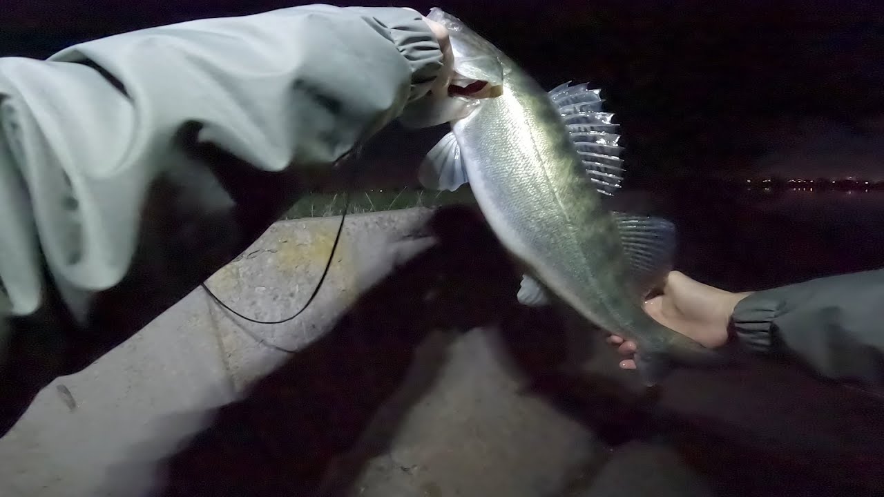 Salai pe lacul Morii, nopti cu adrenalina insotite de combo-uri decente.