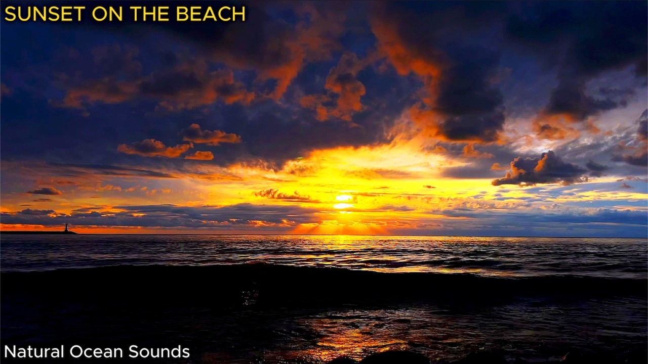 ✅ Sunset on the beach 4K