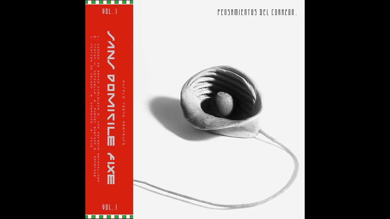 SANS DOMICILE FIXE - PENSAMIENTOS DEL CORAZÓN VOL.1
