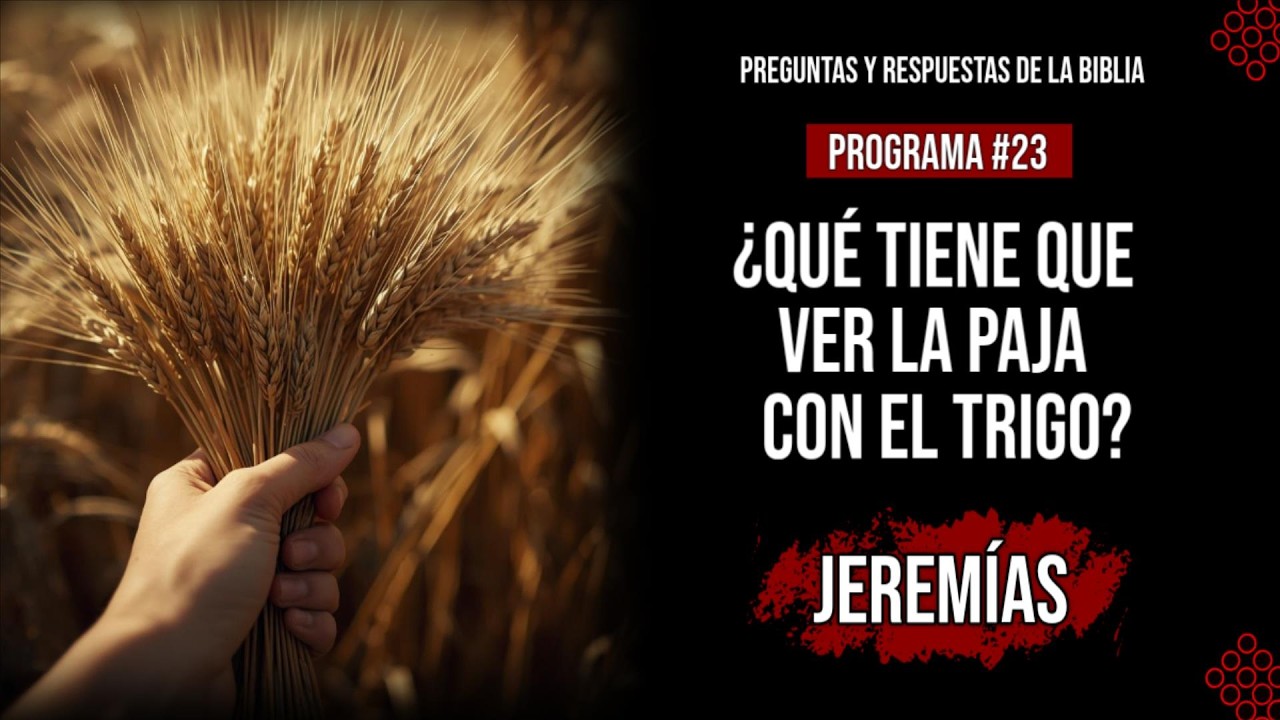 ¿Qué tiene que ver la paja con el trigo? | Preguntas y Respuestas de la Biblia