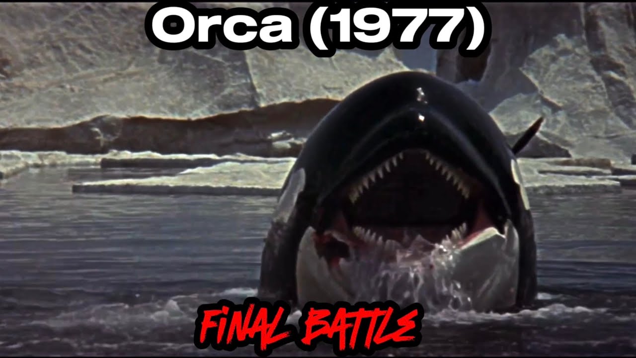 Orca (1977)   Final battle