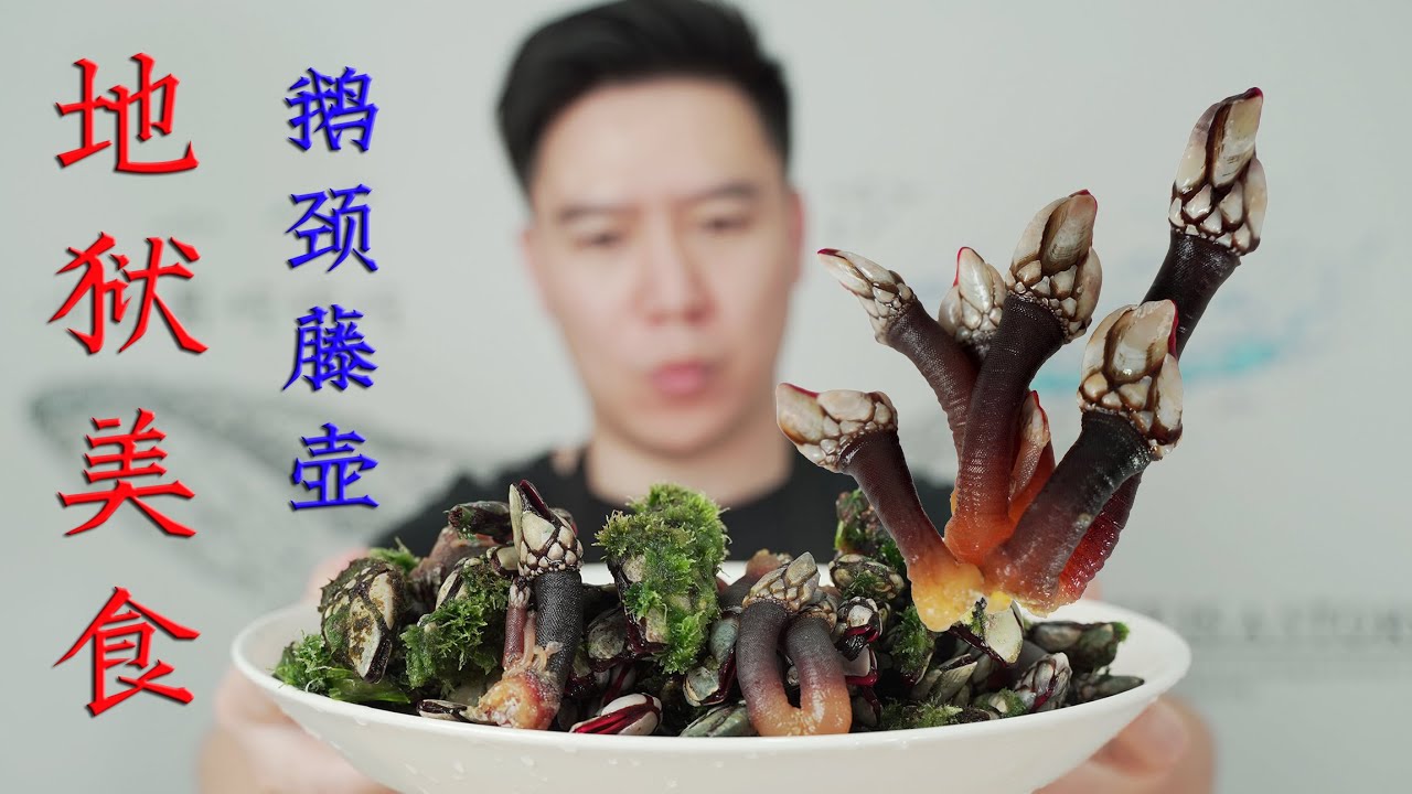 粉丝推荐来自地狱的世界顶级美食，420一斤的鹅颈藤壶，真的有传闻那么好吃吗？【小文哥吃吃吃】