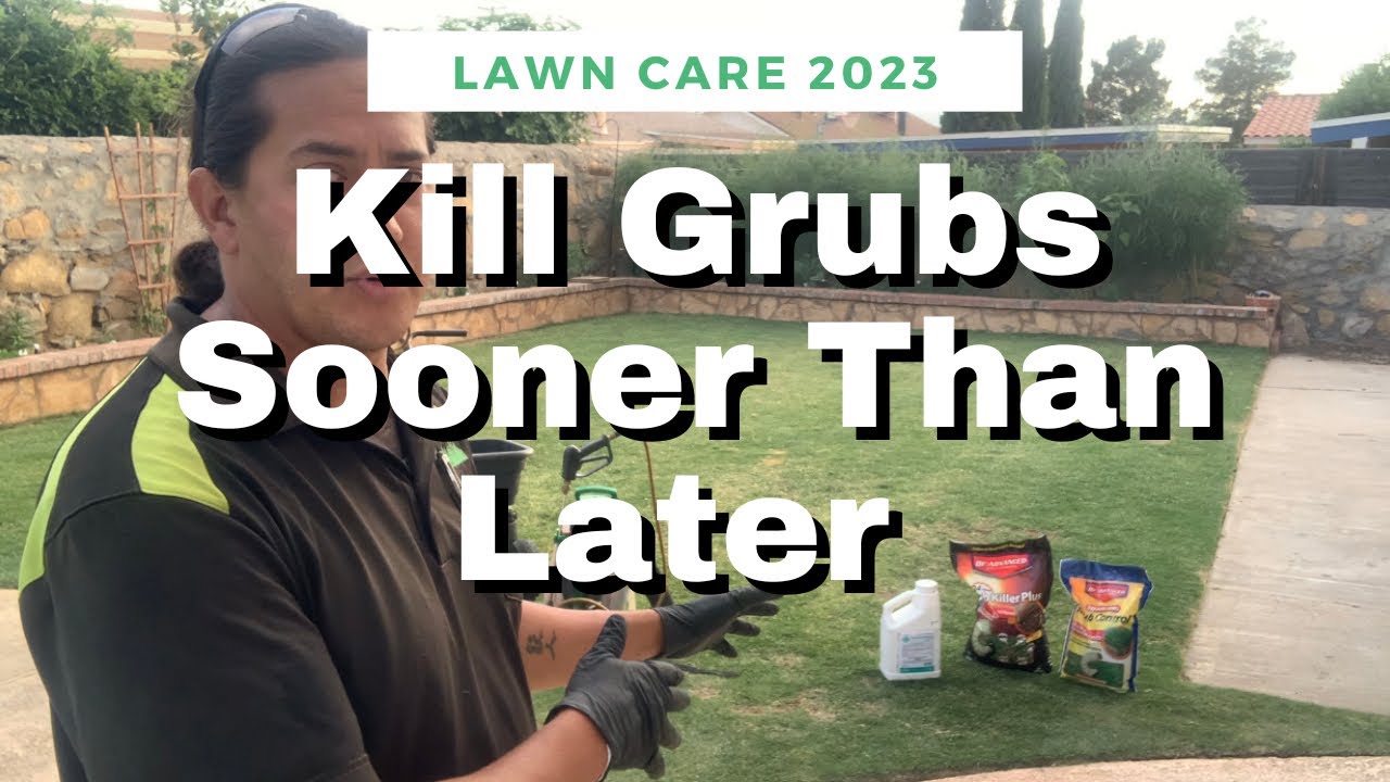 Kill Grubs Sooner Than Later
