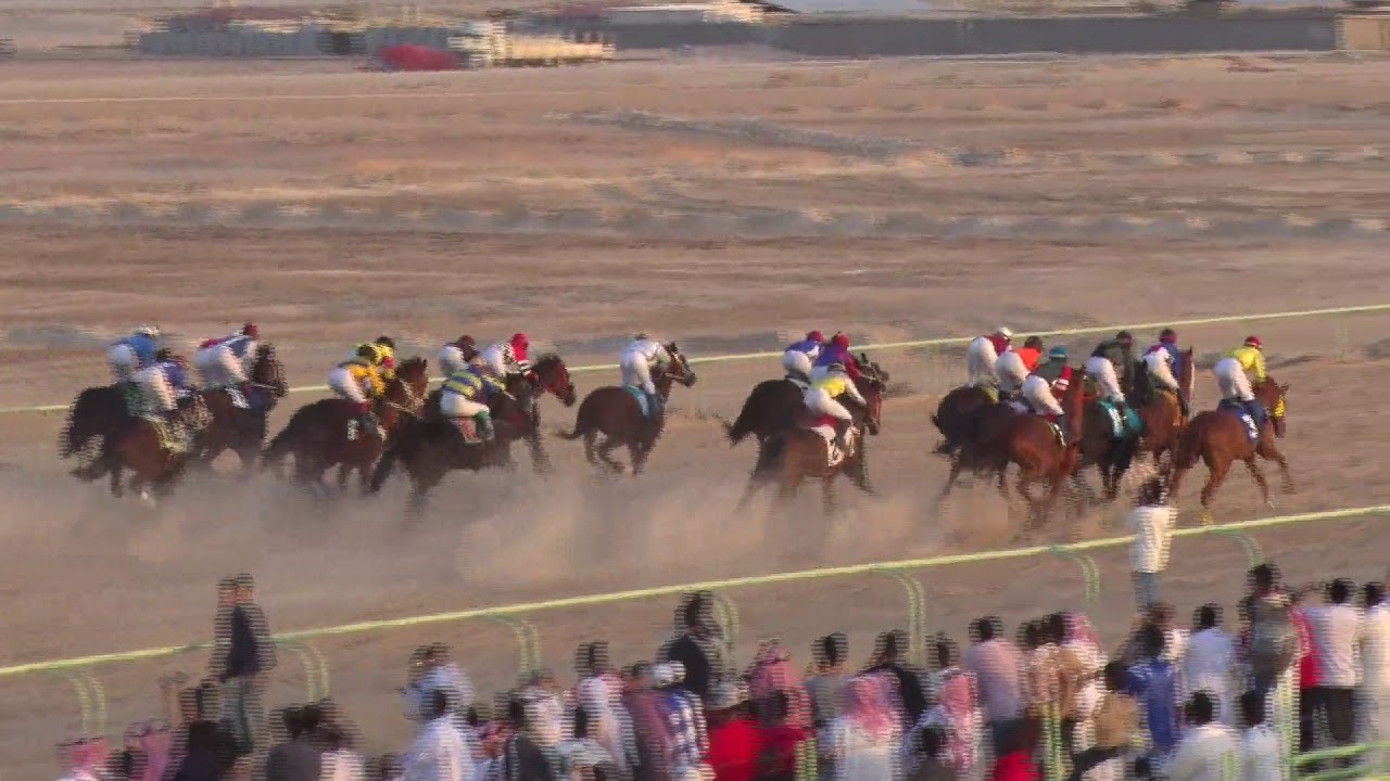 ميدان الفروسية بالاحساء لعام1439ه حفل (5)شوط الخامس المركز الأول (كروم)