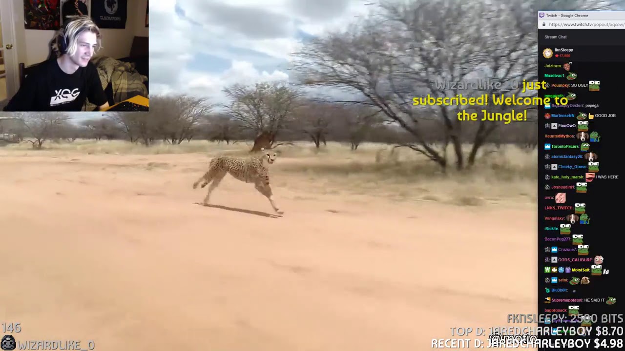 IRL - xqcow - CHEETO Pepega