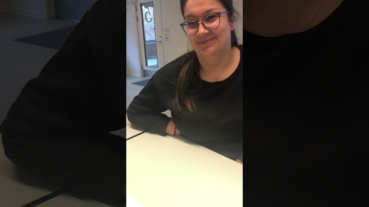 Mundtlig test Du2 modul 2- opgave 1