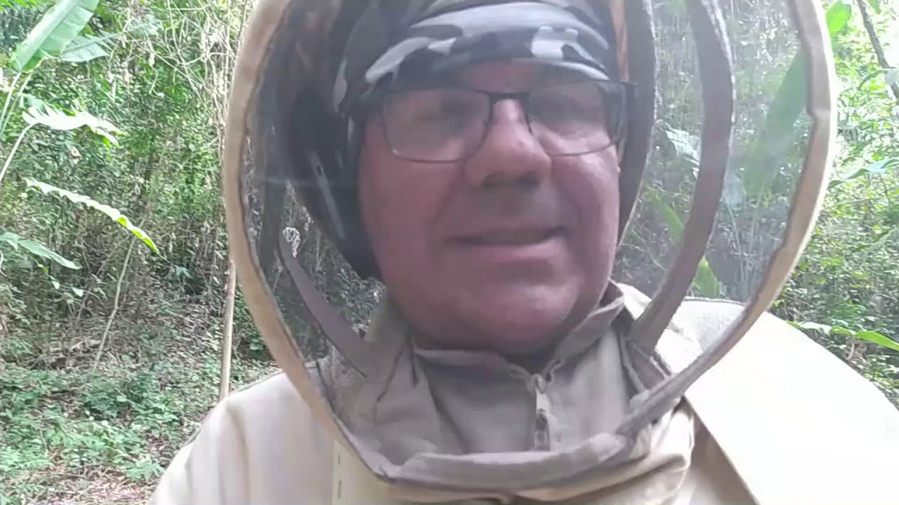 Preparación de jarabe vitaminado para abejas