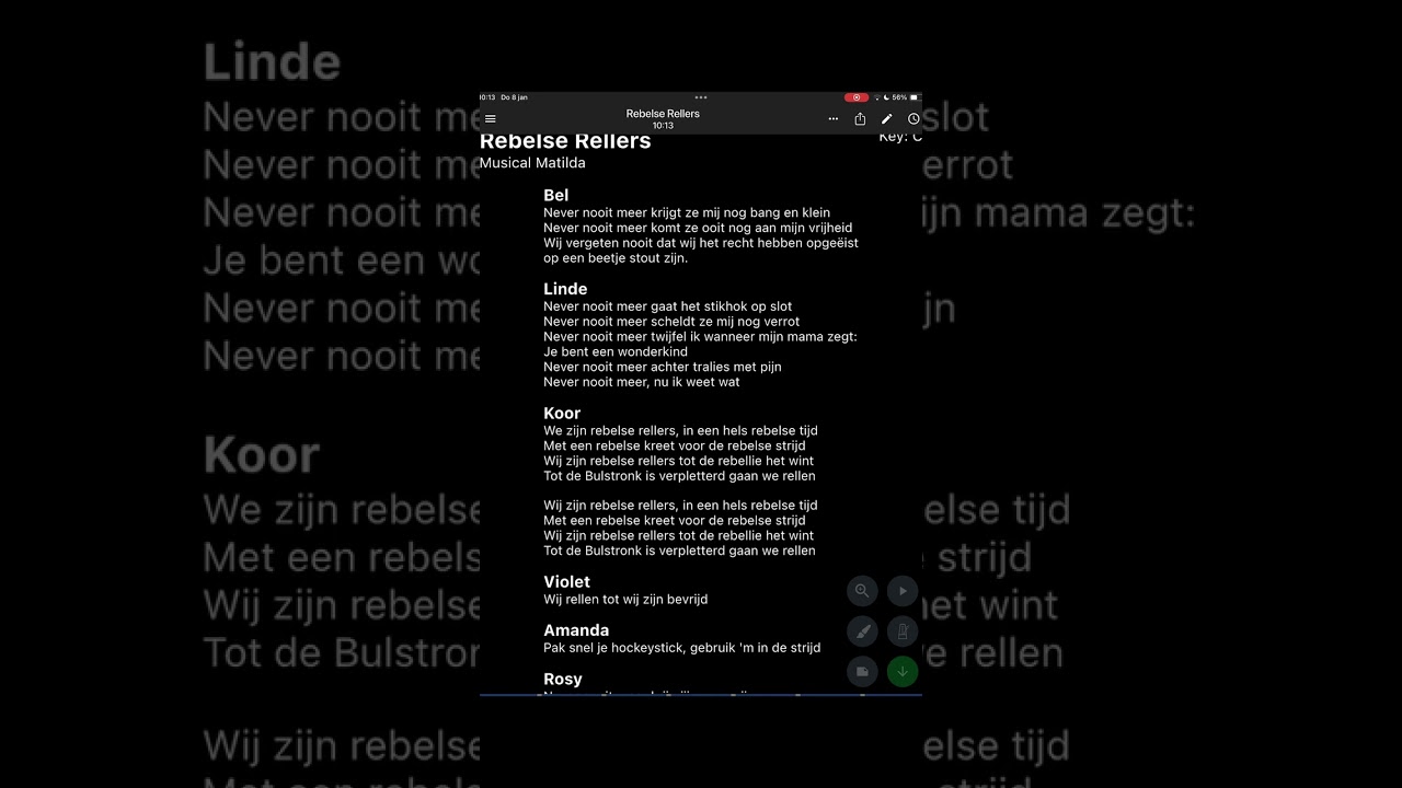 Rebelse Redders Hoog