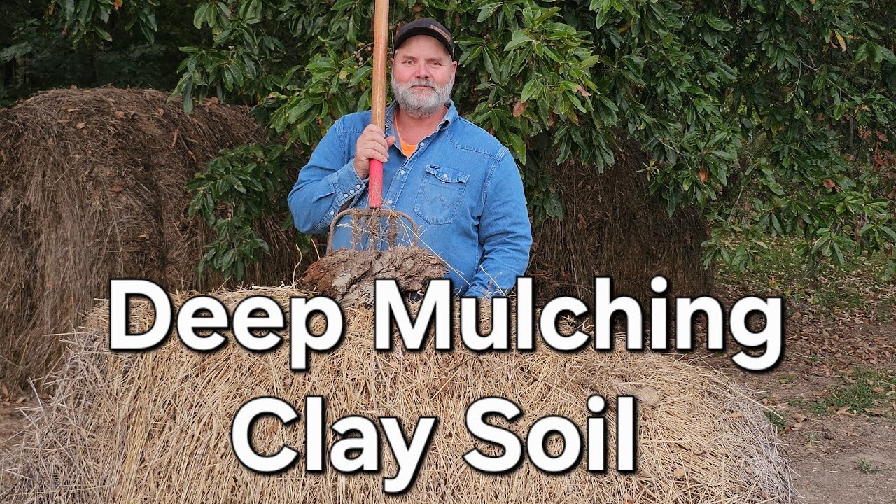 Adapting the Ruth Stout method for clay soil. 
