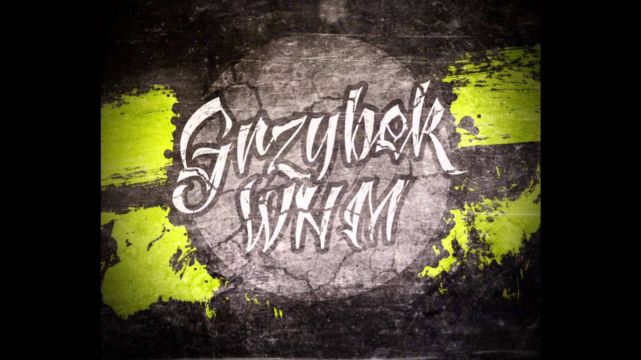 GRZYBEK WNM GDYBYŚ MÓGŁ PROD ANS BEATS