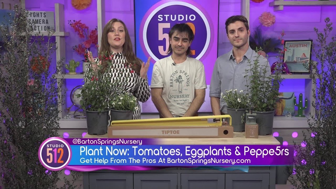 Veggies To Plant Now With Barton Springs Nursery