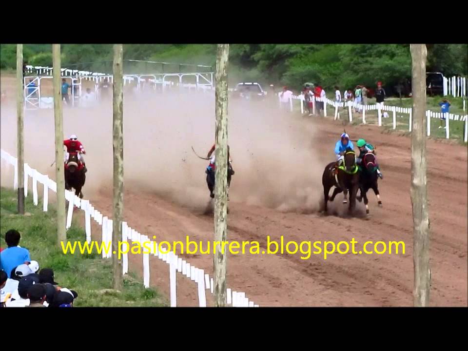 Ramoncito, La Rioja (08-02-14)