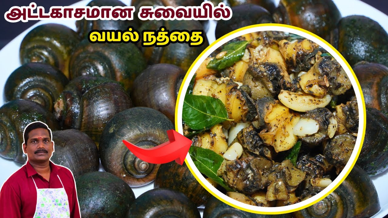 உடலுக்கு குளிர்ச்சி அளிக்கும் நத்தை மிளகு வறுவல் | Snail pepper fry | Nathai pepper fry