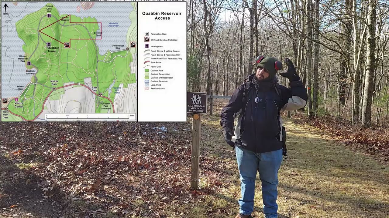 O the mossy greenness of it all! Bald Mountain Vista trail. Quabbin Reservoir. #walking #moss