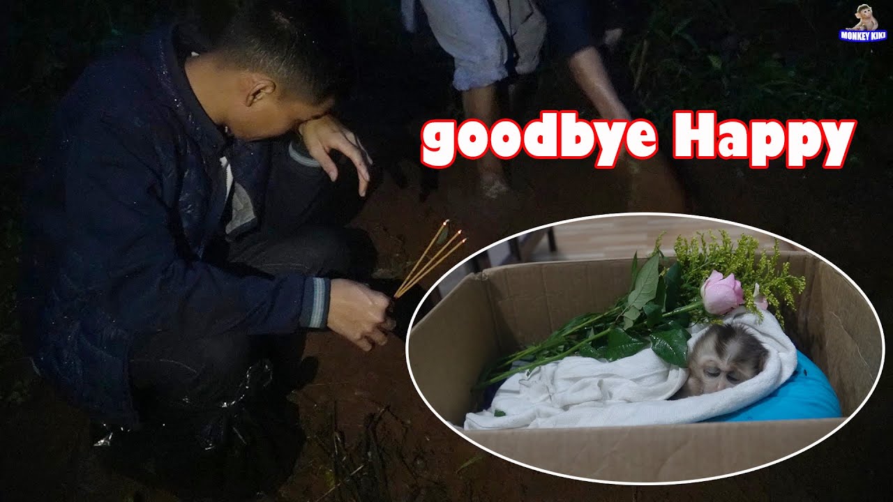 Goodbye Monkey Happy • Monkey KiKi