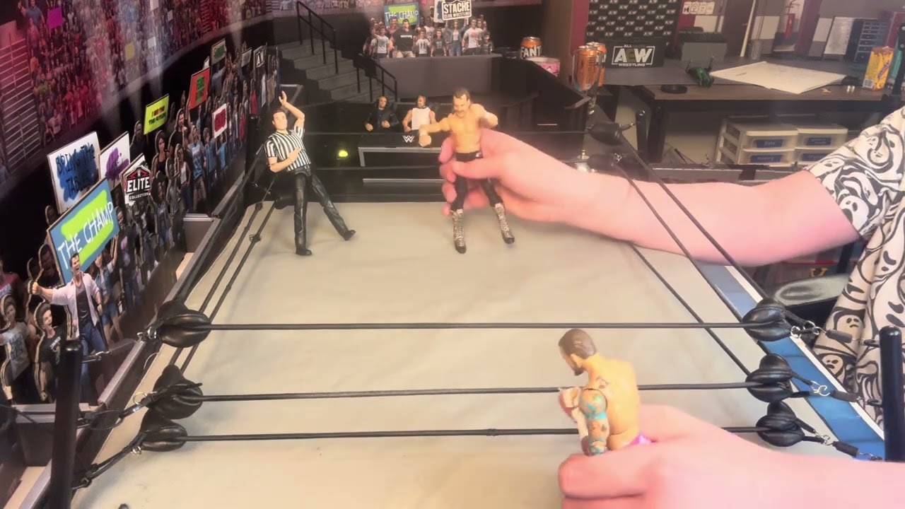 Jake, the snake Roberts versus ￼￼cm punk ￼