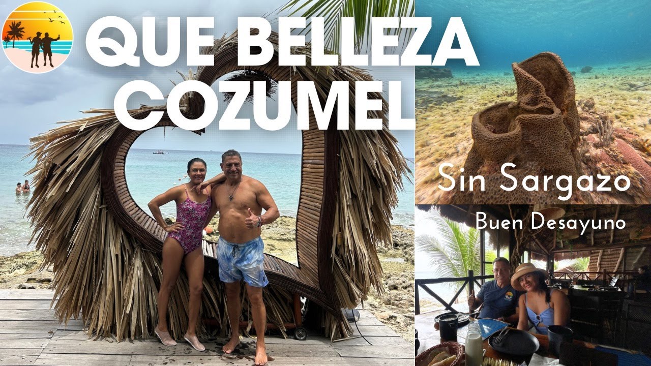 ¡Qué belleza Cozumel! Snorkel sin sargazo, buen desayuno y paseo en ferry desde Playa del Carmen
