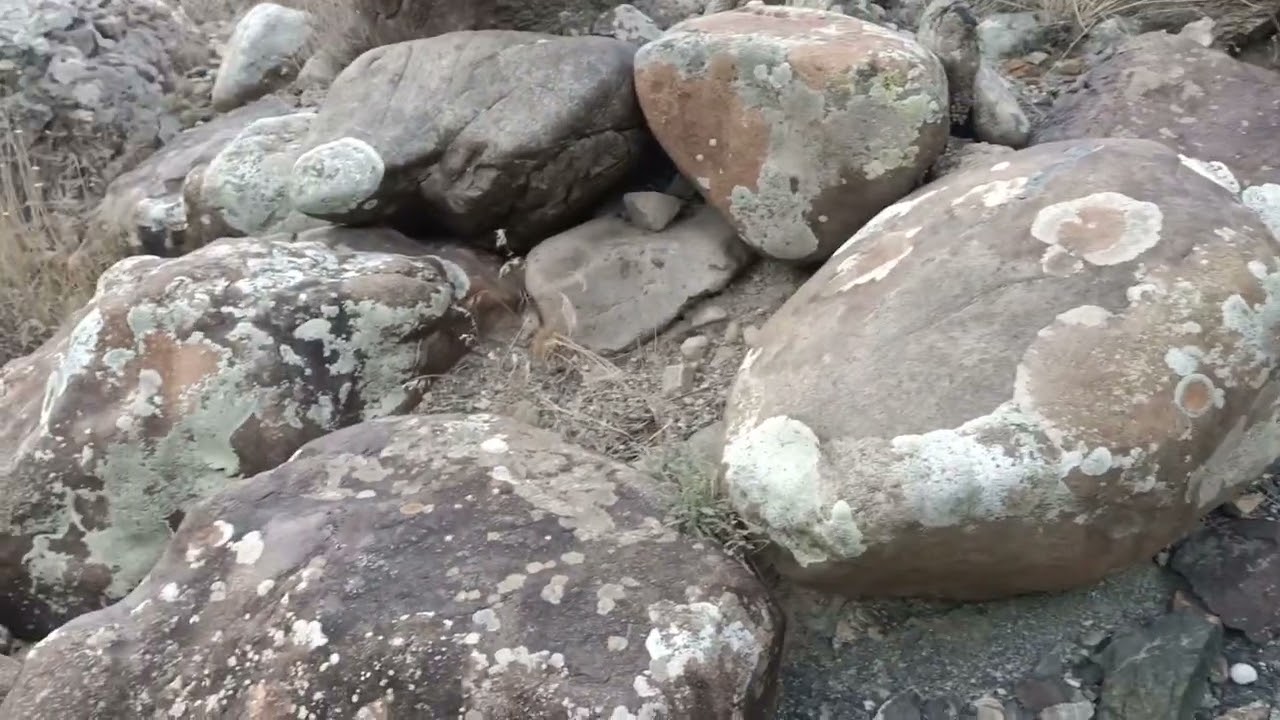 Yusufeli Barajı Kolik (3) ( Irmakyanı) Köyünü tam olarak görüntüledim. Duygu dolu anlar 😪 08/01/2023