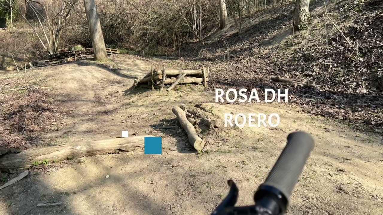 ROSA DH, ROERO