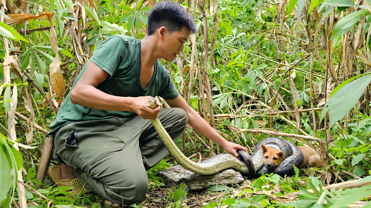 200 days of survival in the wild, facing dangerous wild animals, traps, wild birds, stream fish