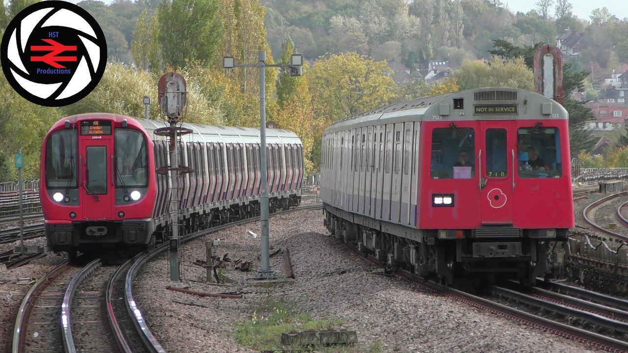 Trains at Northwick Park (Tube, LAL) - 27/10/2025