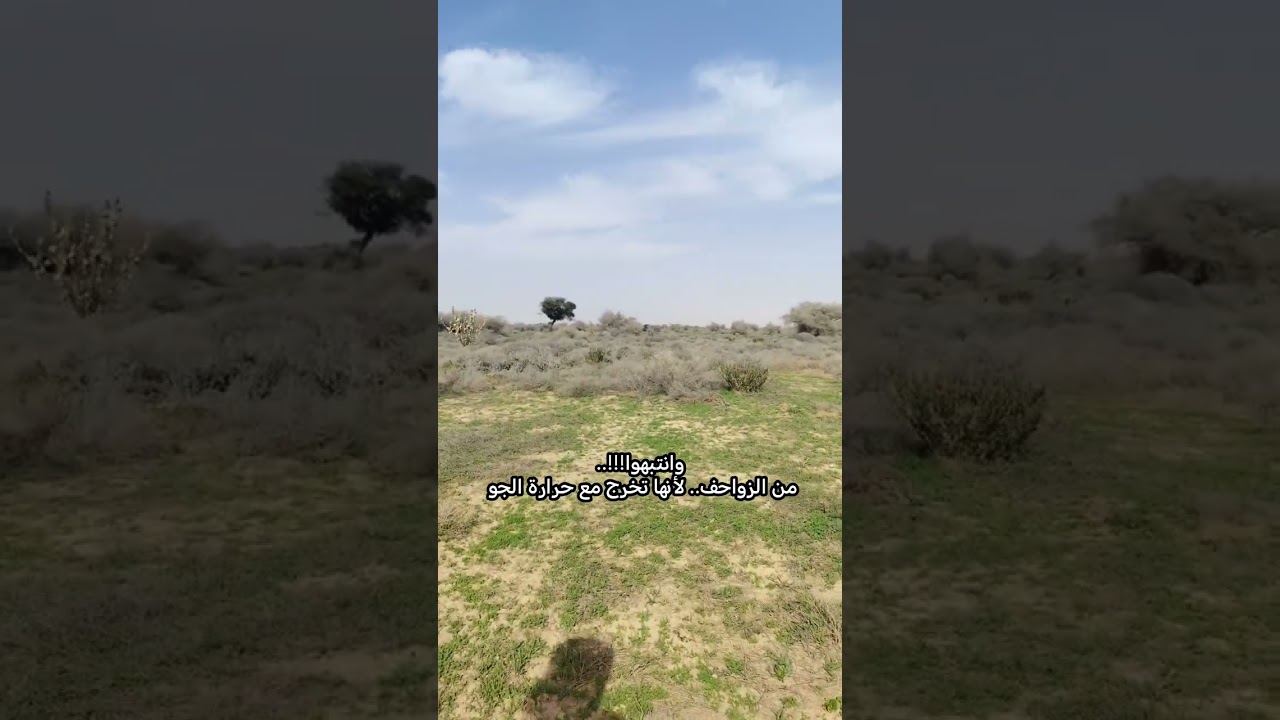 تغطية على روضة التنهات ١٤٤٧/٨/١٣