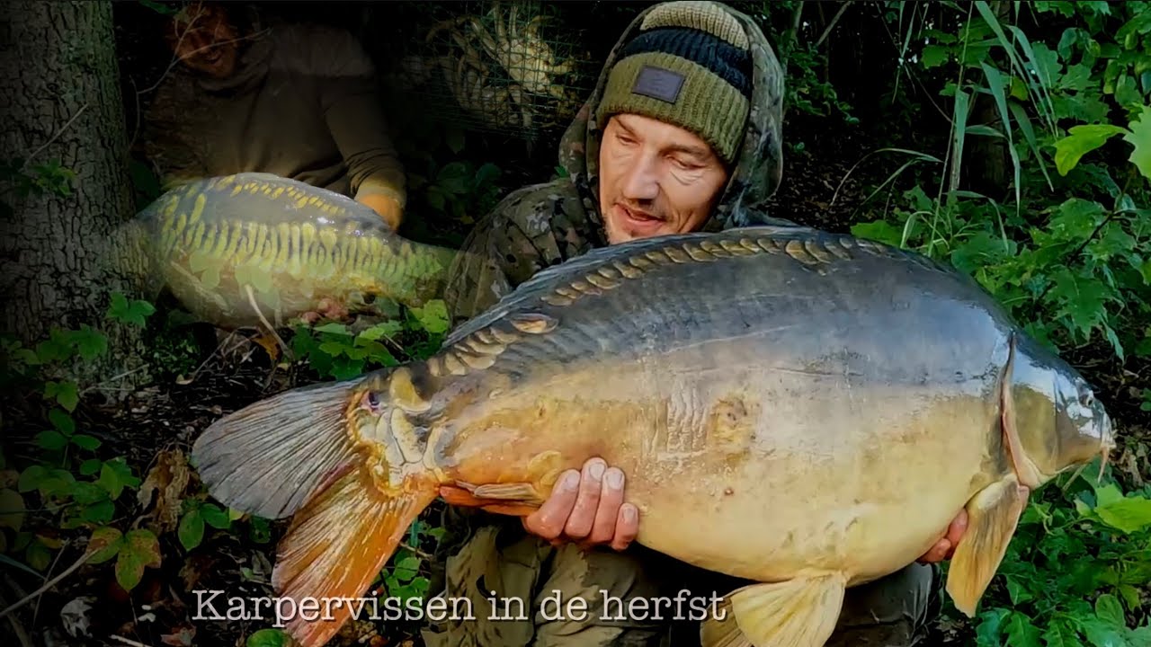 Kanaal en Rivier - Karpervissen in de herfst