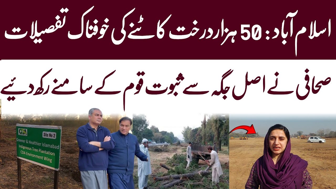 Islamabad Tree Cutting Destroys Capital Beauty Public Outcry to Save Green City | WAHJOC Environment