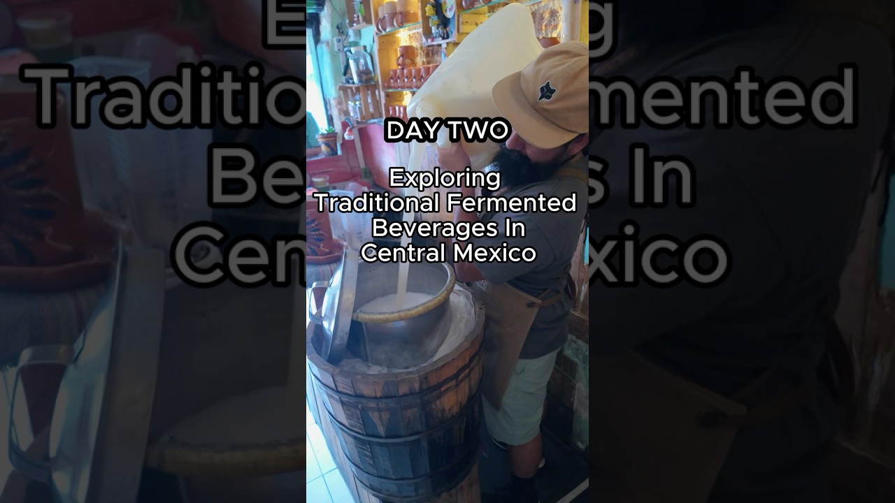 Pulque in Guadalajara! #fermentation #fermenteddrinks #pulque #mexico