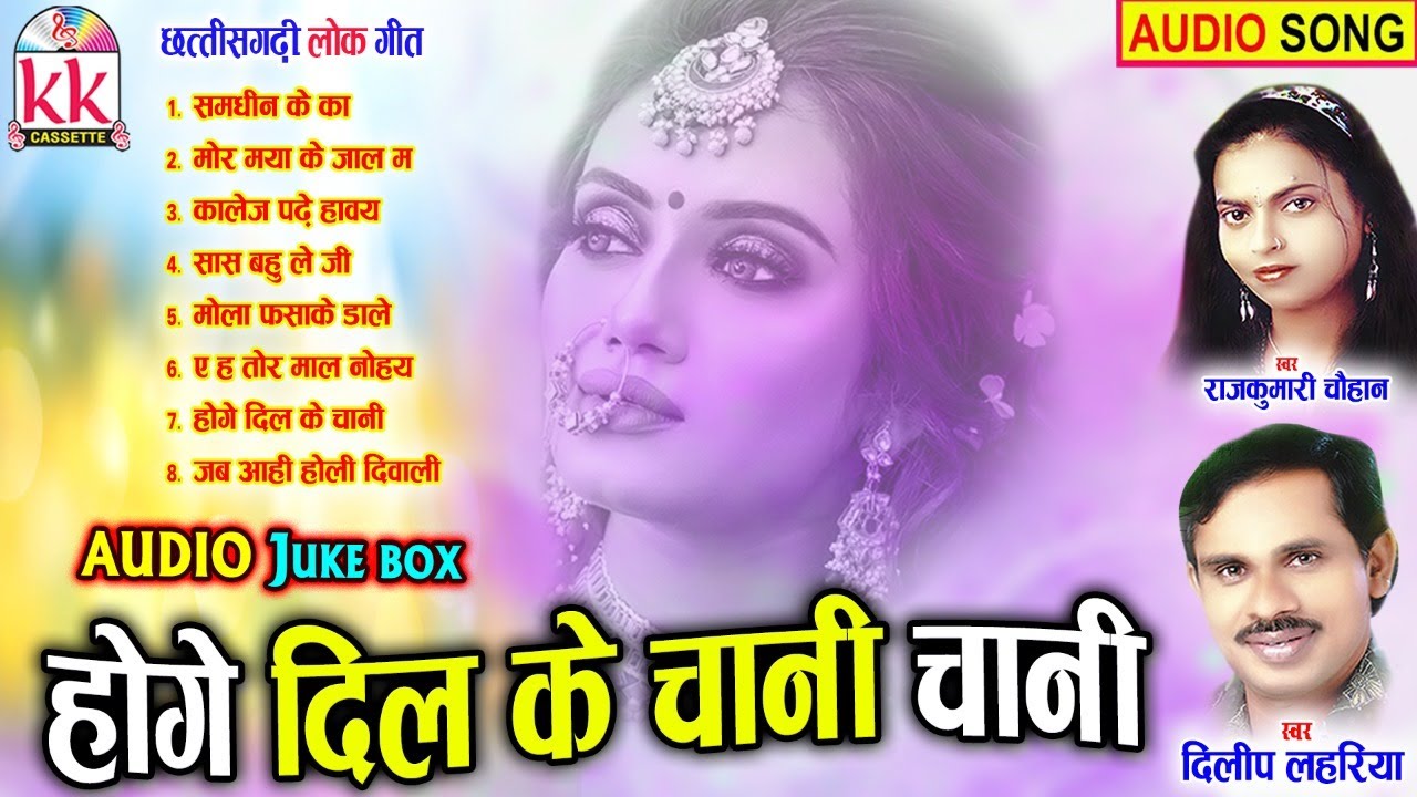 Dilip Lahariya | Rajkumari Chauhan | Cg Song | Hoge Dil Ke Chani Chani | Audio Jukebox | AVM STUDIO